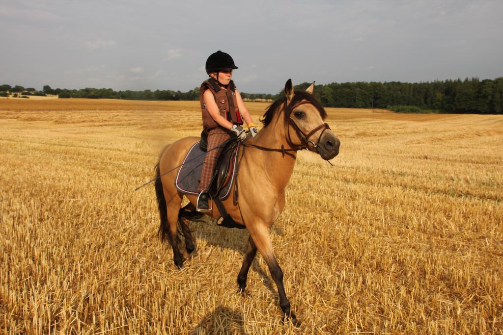 Ferienwohnung Zimmert Zewnętrze zdjęcie